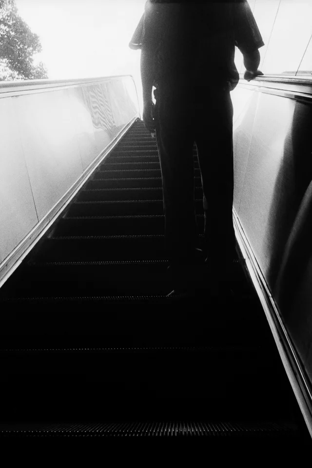 Photograph 11 from the Simulacra collection