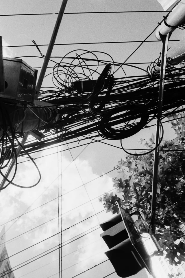 Photograph 12 from the Simulacra collection