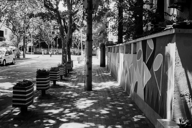 Photograph 14 from the Simulacra collection