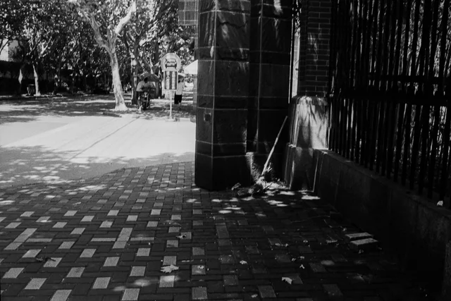 Photograph 17 from the Simulacra collection