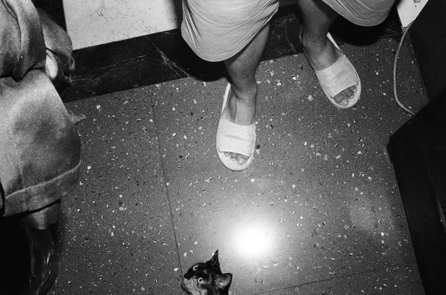 Photograph 19 from the Simulacra collection