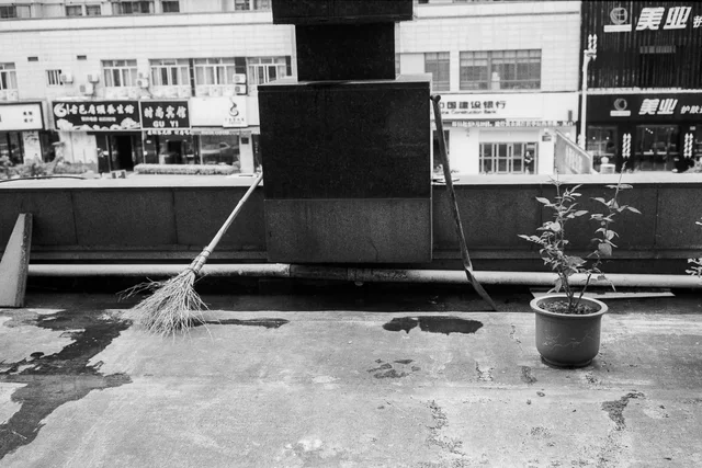 Photograph 23 from the Simulacra collection