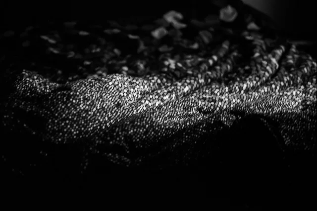 Photograph 26 from the Simulacra collection