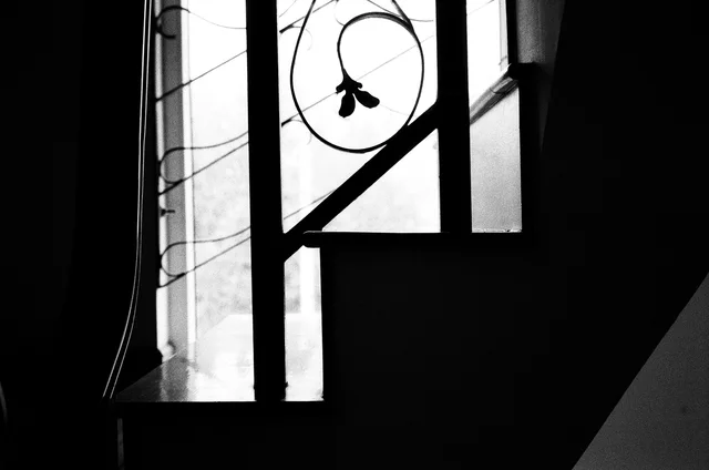 Photograph 31 from the Simulacra collection