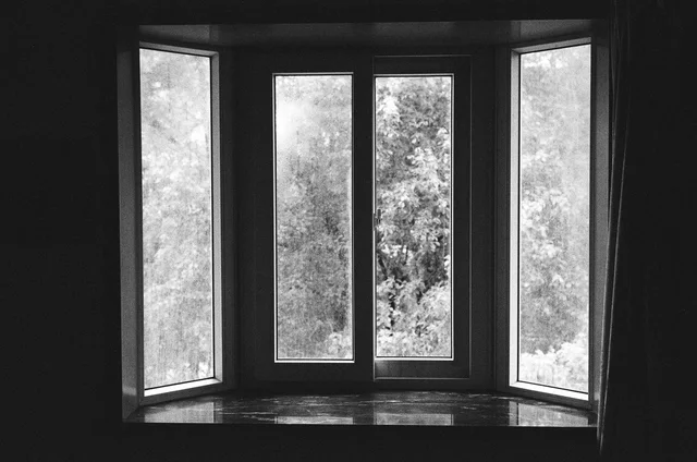 Photograph 36 from the Simulacra collection