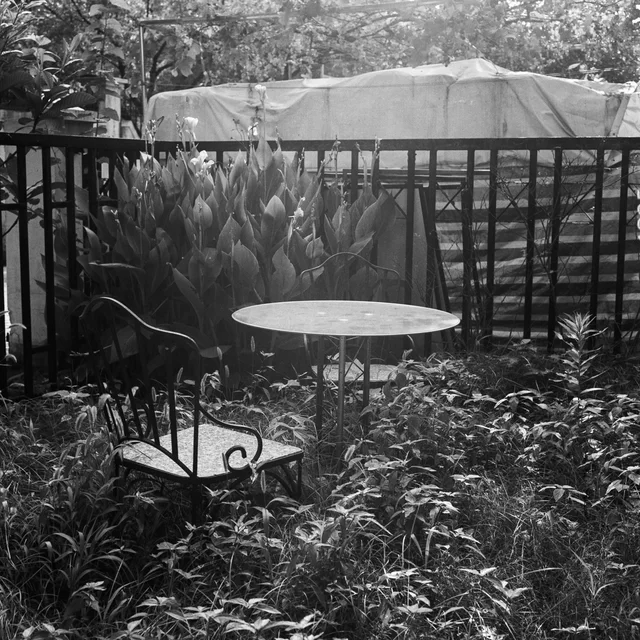 A round table in a leafy garden