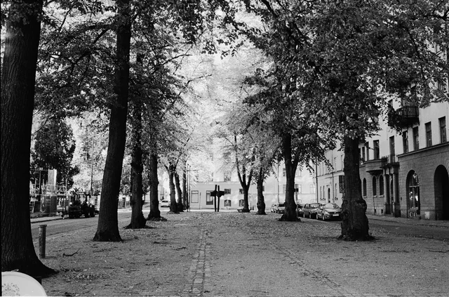 Photograph 46 from the Simulacra collection