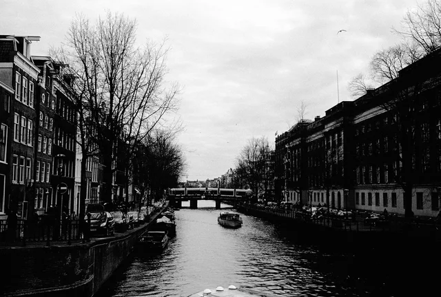 Photograph 53 from the Simulacra collection