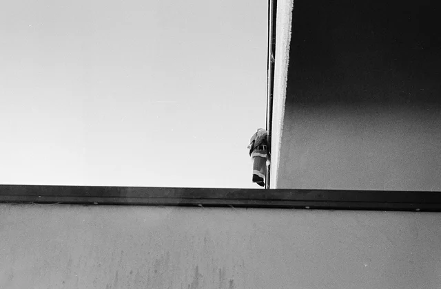 Photograph 58 from the Simulacra collection