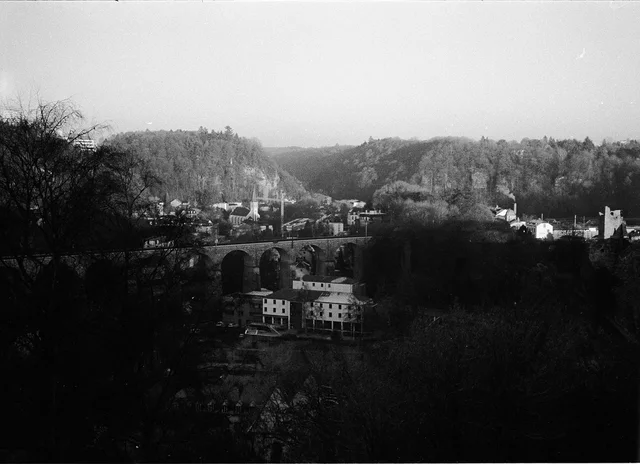 Photograph 62 from the Simulacra collection