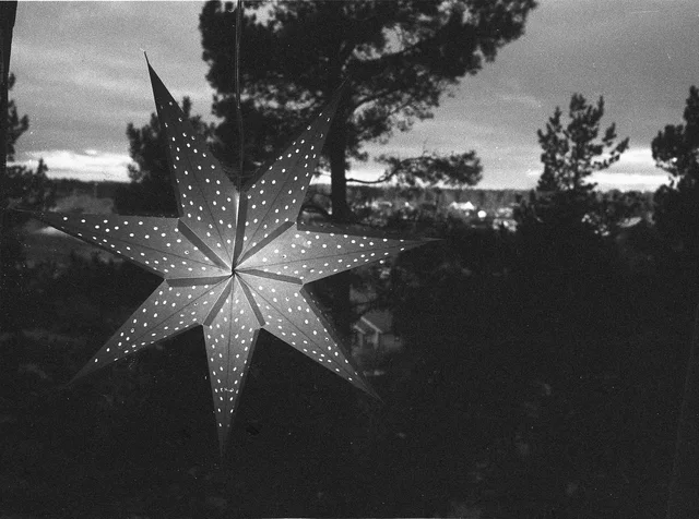 Photograph 65 from the Simulacra collection