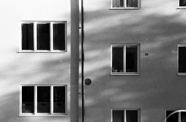 Photograph 66 from the Simulacra collection