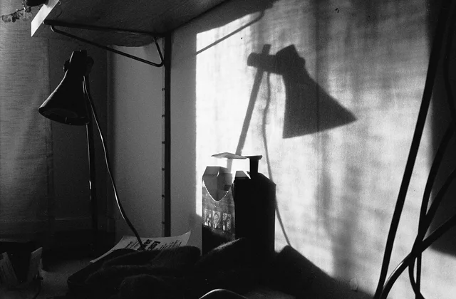 Photograph 69 from the Simulacra collection