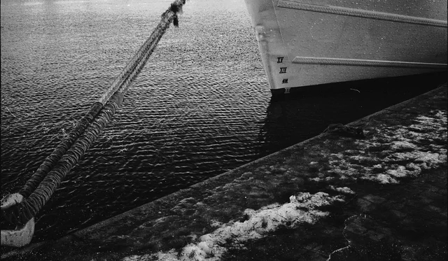 Photograph 73 from the Simulacra collection