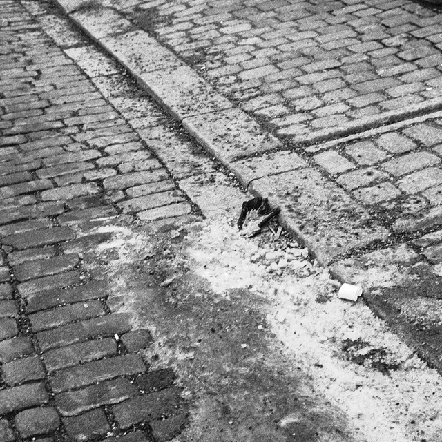 Photograph 75 from the Simulacra collection