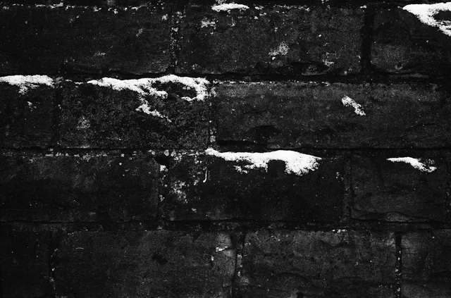 Photograph 77 from the Simulacra collection