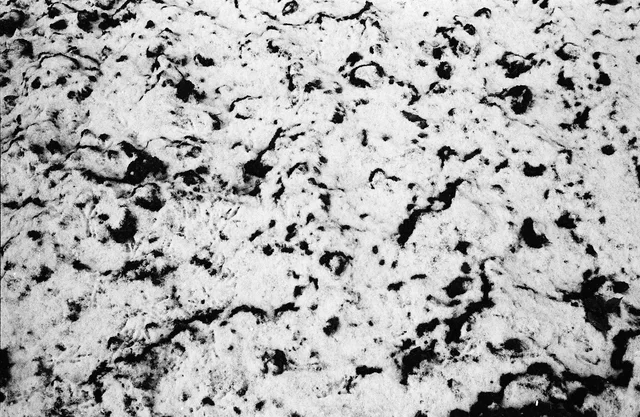 Photograph 79 from the Simulacra collection
