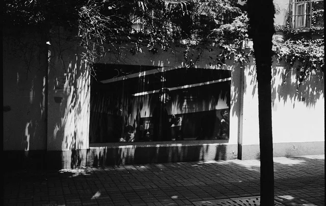 Photograph 81 from the Simulacra collection