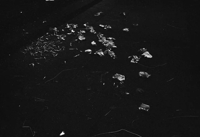 Photograph 82 from the Simulacra collection