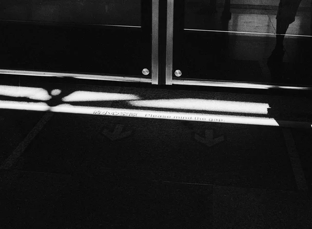 Photograph 85 from the Simulacra collection