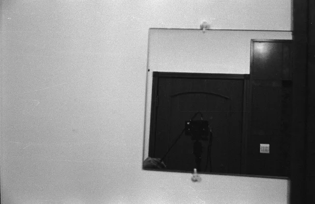 Photograph 86 from the Simulacra collection