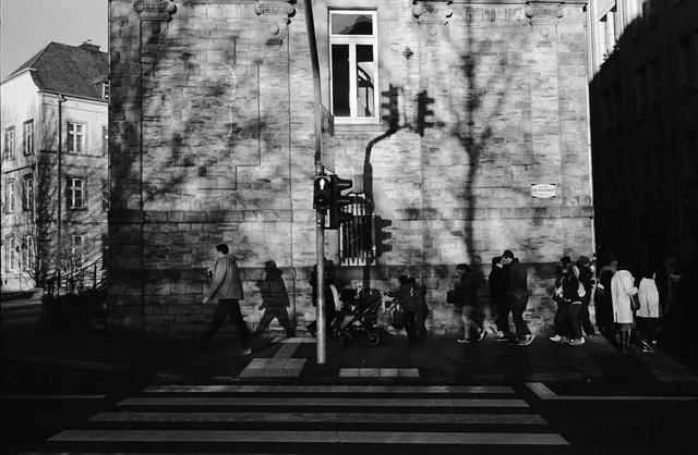 Photograph 87 from the Simulacra collection