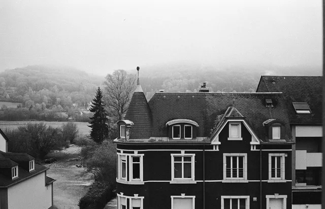 Photograph 89 from the Simulacra collection