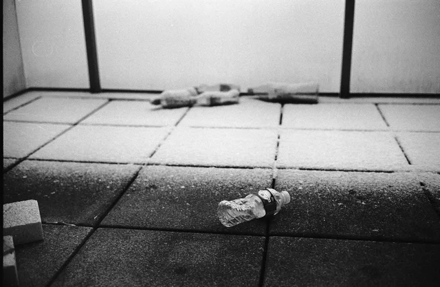 Photograph 90 from the Simulacra collection