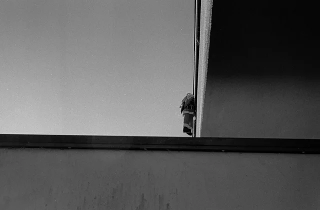 A person's head appearing at the edge of a wall above a horizontal concrete ledge