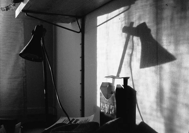 A desk lamp and its sharply defined shadow on a sunlit wall