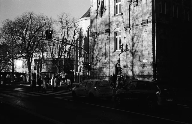 Bare trees casting shadows across a stone building beside parked cars