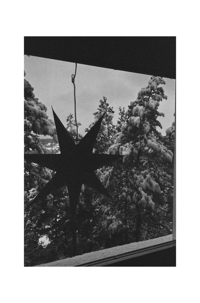 A hanging star ornament silhouetted against trees outside a window