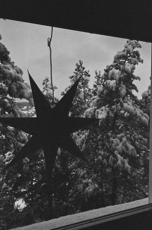 A hanging star ornament silhouetted against trees outside a window