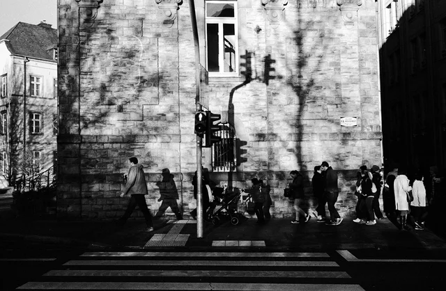Pedestrians crossing a street beneath tree shadows on a stone building