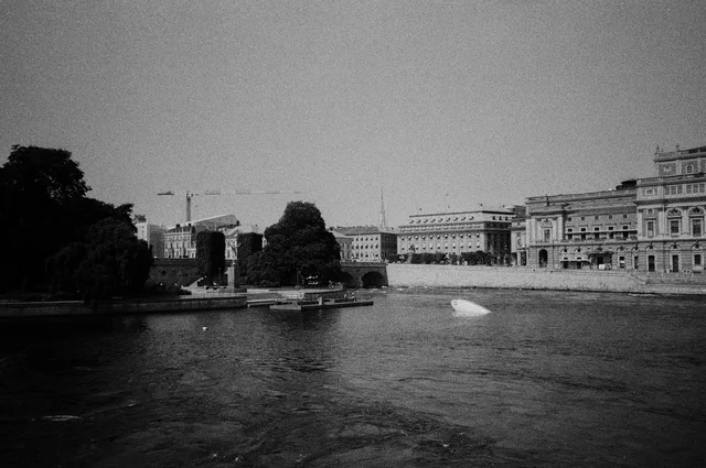 A gull flying low over the water beside large stone waterfront buildings