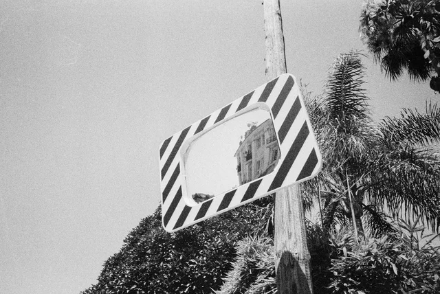 A striped traffic mirror reflecting a building beside palm foliage