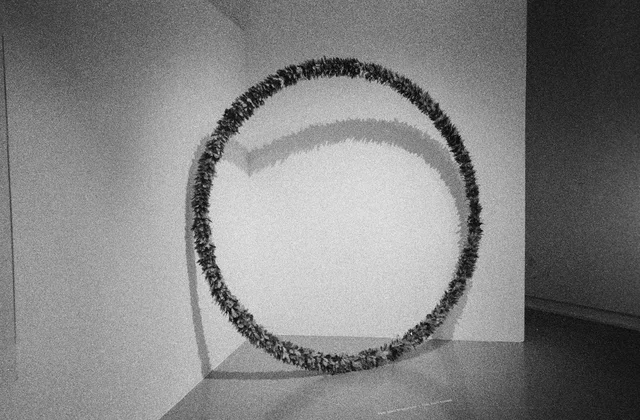 A large circular ring sculpture and its shadow in a white corner
