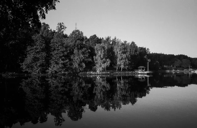 A wooded shoreline mirrored in the smooth surface of a lake