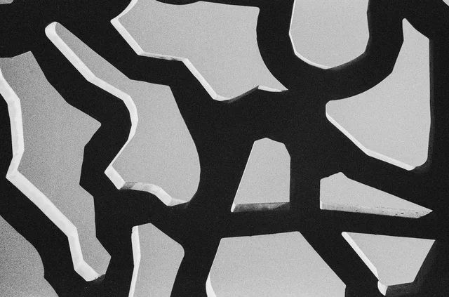 An abstract architectural screen with irregular pale openings and dark branching shapes