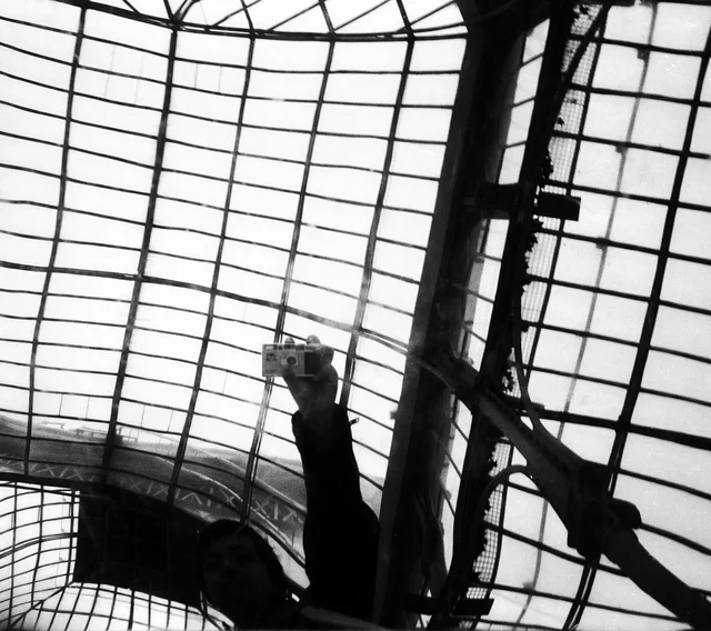 A dark sculptural figure silhouetted beneath a vaulted glass roof