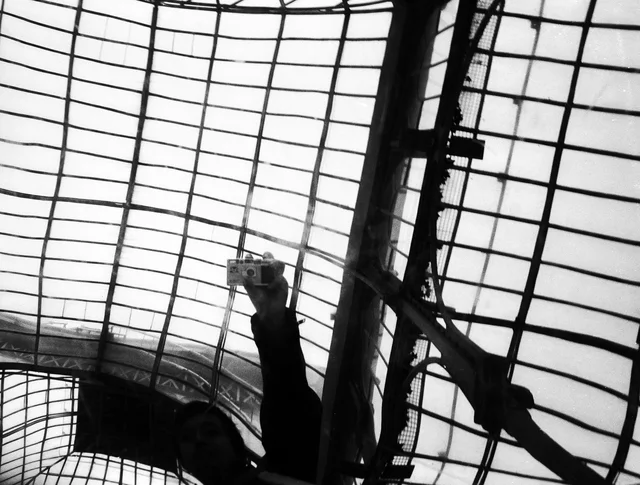 A dark sculptural figure silhouetted beneath a vaulted glass roof
