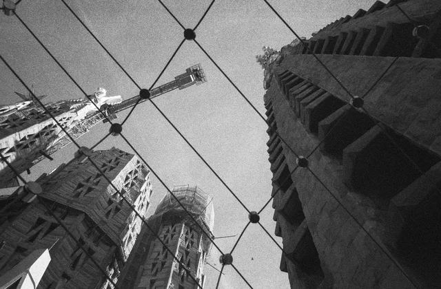 Tall carved stone towers seen through a suspended diamond-patterned net