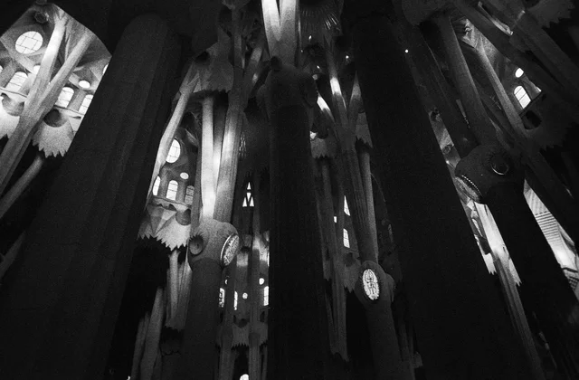 Branching columns and patterned vaults rising through a dim church interior