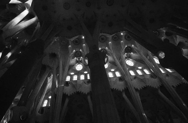 Looking up at branching columns and rows of glowing windows in a church