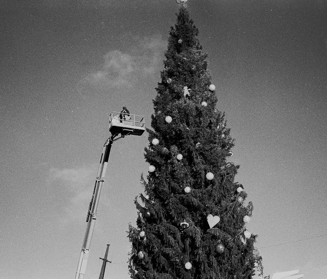 A decorated evergreen tree beside a raised work platform