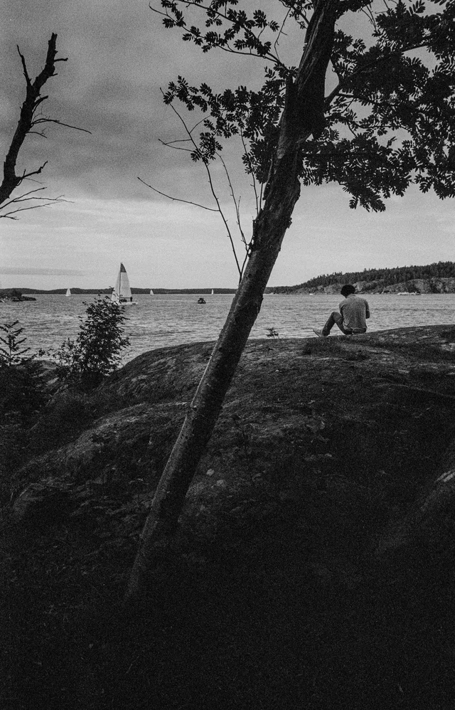 A seated person and a leaning tree on a rocky shore, with sailboats beyond