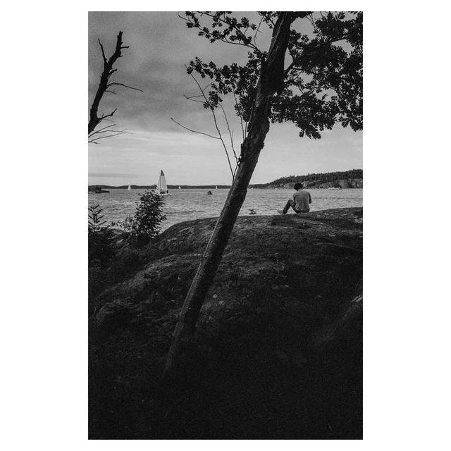 A seated person and a leaning tree on a rocky shore, with sailboats beyond