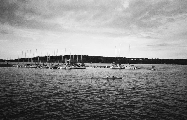 A marina of sailboats across rippling water beneath an overcast sky