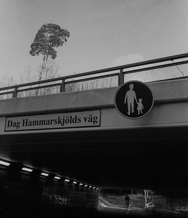 A pedestrian underpass beneath a bridge, with a round walking sign above the entrance