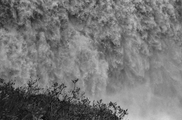 A close view of rushing waterfall water behind foreground plants